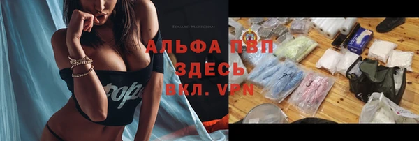 гидра Белоозёрский