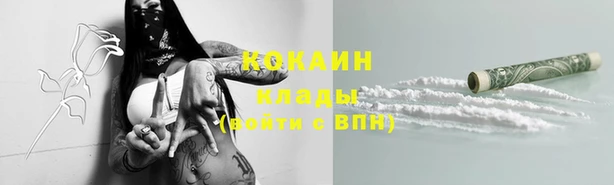 гидра Белоозёрский