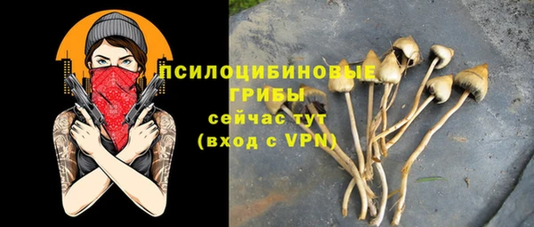 гидра Белоозёрский