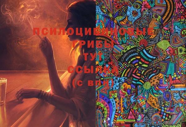 a pvp Строитель
