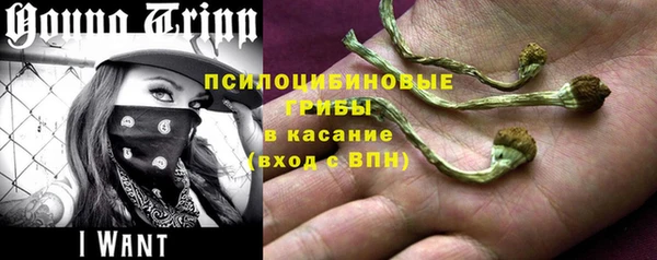 дурь Белокуриха