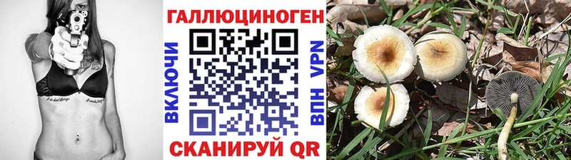 OMG ссылка  Черногорск  Псилоцибиновые грибы прущие грибы 